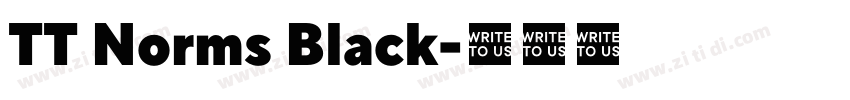 TT Norms Black字体转换